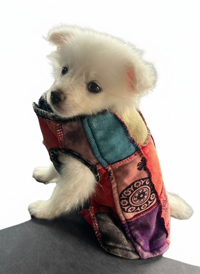 Stonewashed Patchwork Fleece-Lined Dog Winter Jacket – Handmade in Nepal | Warm Pet Wear