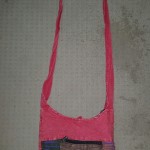 Passport Bag