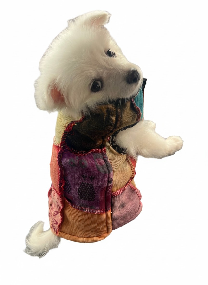 Dog Cloth